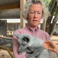 Instructor holds a grey fox